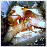 Duff - Cosmetic Triple Bypass EP COVER